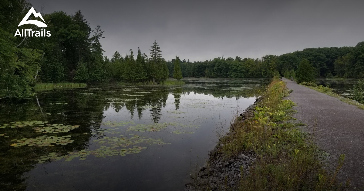 Best hikes and trails in Morris Island Conservation Area | AllTrails