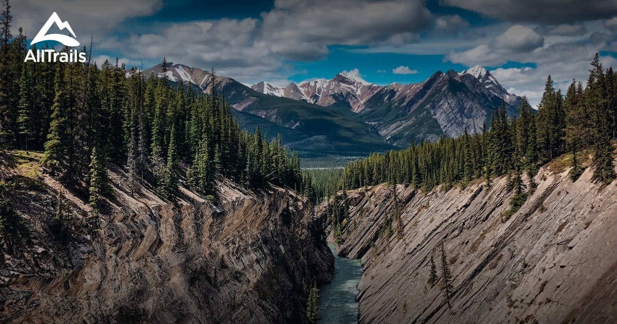 Die besten Wanderwege in Kootenay Plains Ecological Reserve | AllTrails