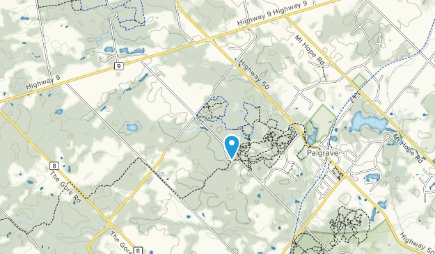 Best Trails in Palgrave Forest and Wildlife Area - Ontario, Canada