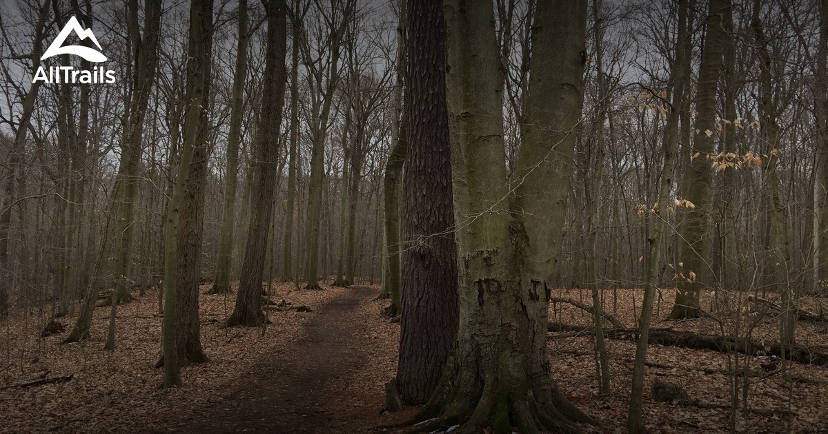 Best hikes and trails in Springwater Conservation Area AllTrails