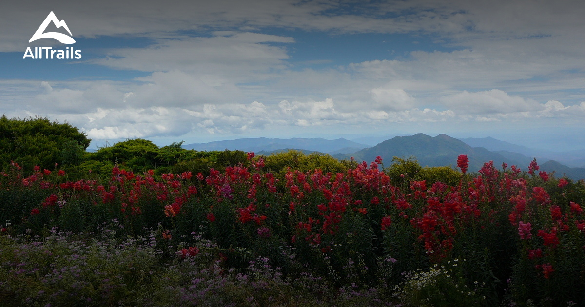 De 10 beste routes langs watervallen in Nationaal Park Doi Inthanon ...