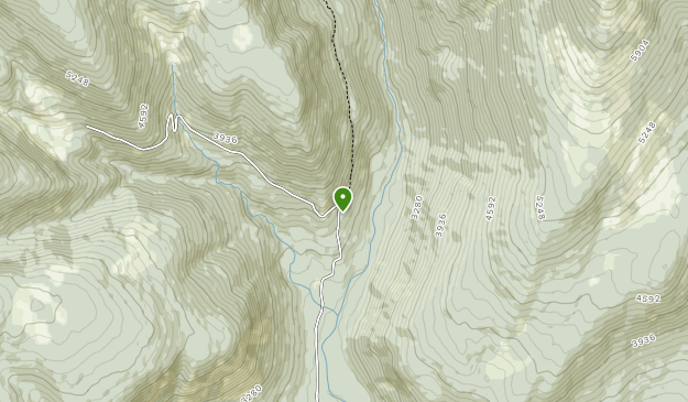 Best Trails in Granby Provincial Park British Columbia, Canada