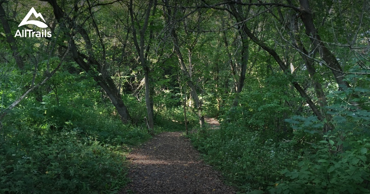 Best Trails in Millbrook Conservation Area Ontario, Canada AllTrails