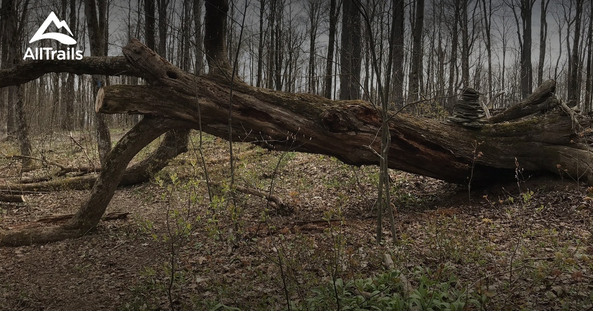 Best hikes and trails in James Kennedy State Forest AllTrails