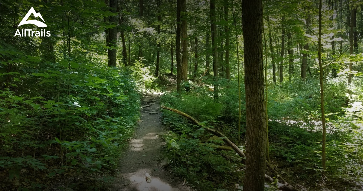 Mt Airy Forest Trails