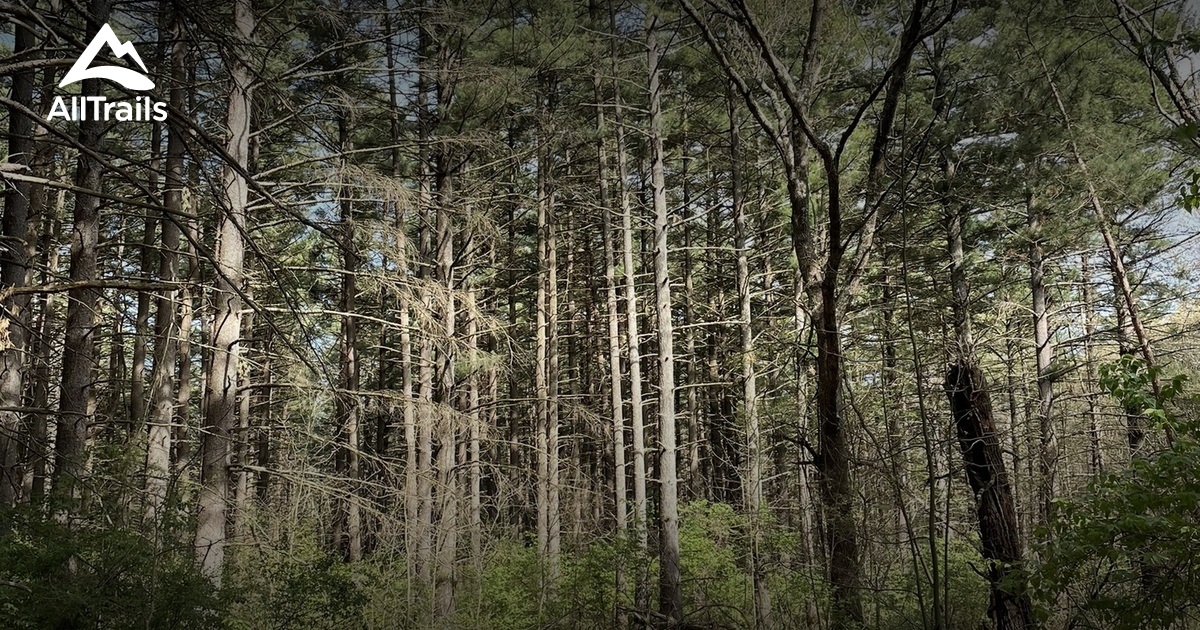 Best backpacking trails in Sand - Parks Us Illinois Sand Ridge State Forest 10160590 20210621080526000000000 1200x630 3 41624313295 