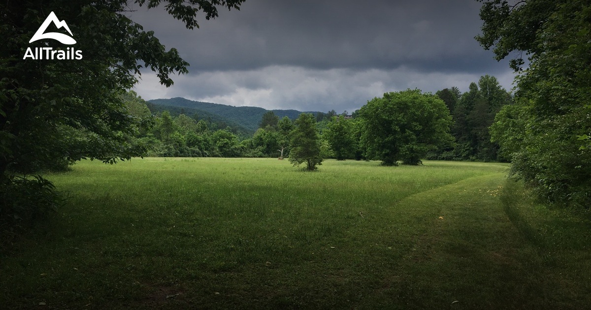 Best wildflower trails in Unicoi - Parks Us Georgia Unicoi State Park 10160603 20210125080531000000000 1200x630 3 41611611654