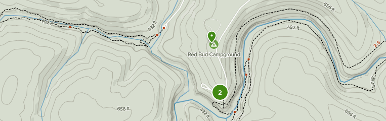 Bell Smith Springs Trail Map Best 10 Trails In Bell Smith Springs Natural Landmark | Alltrails