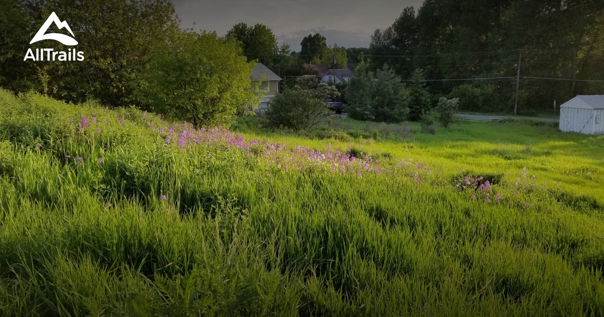 Best Hikes and Trails in Lindley Park AllTrails