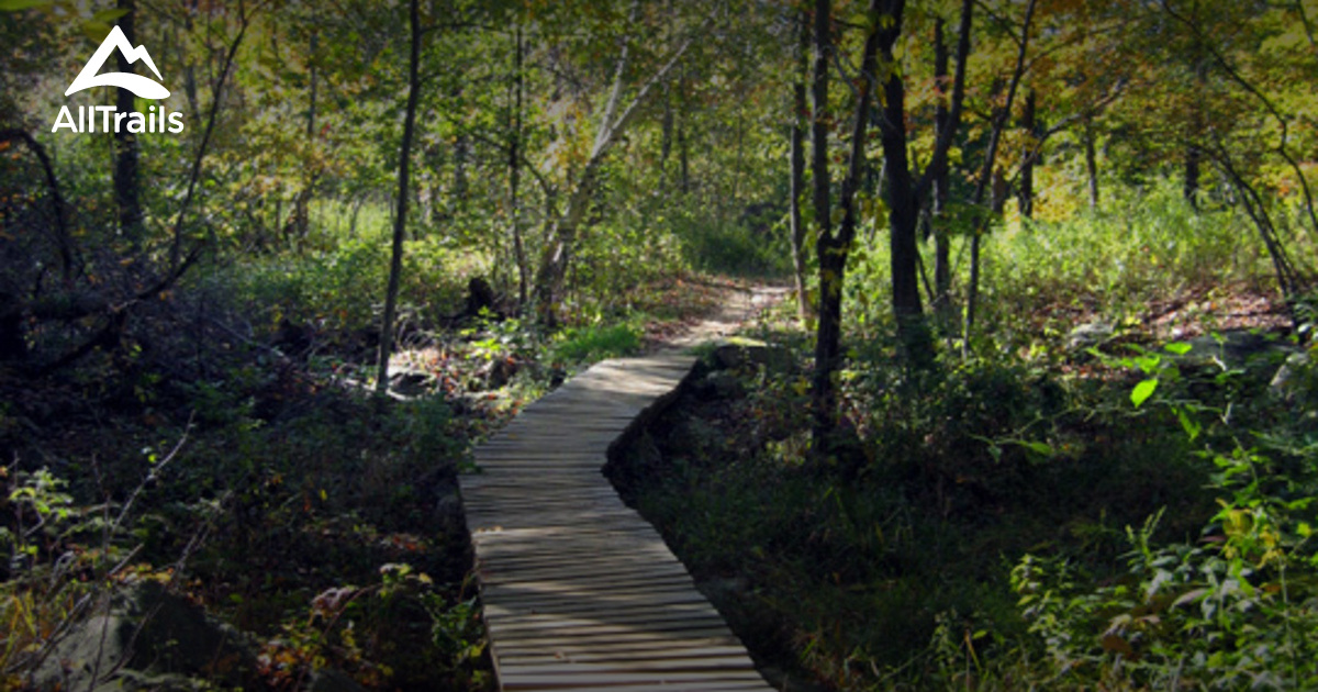 Best Trails in Hamburg Mountain Wildlife Management Area - New Jersey ...