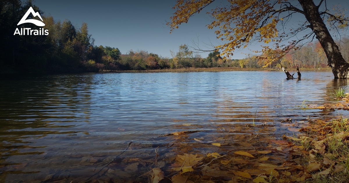 Best Hikes and Trails in Quarry Road Recreation Area AllTrails