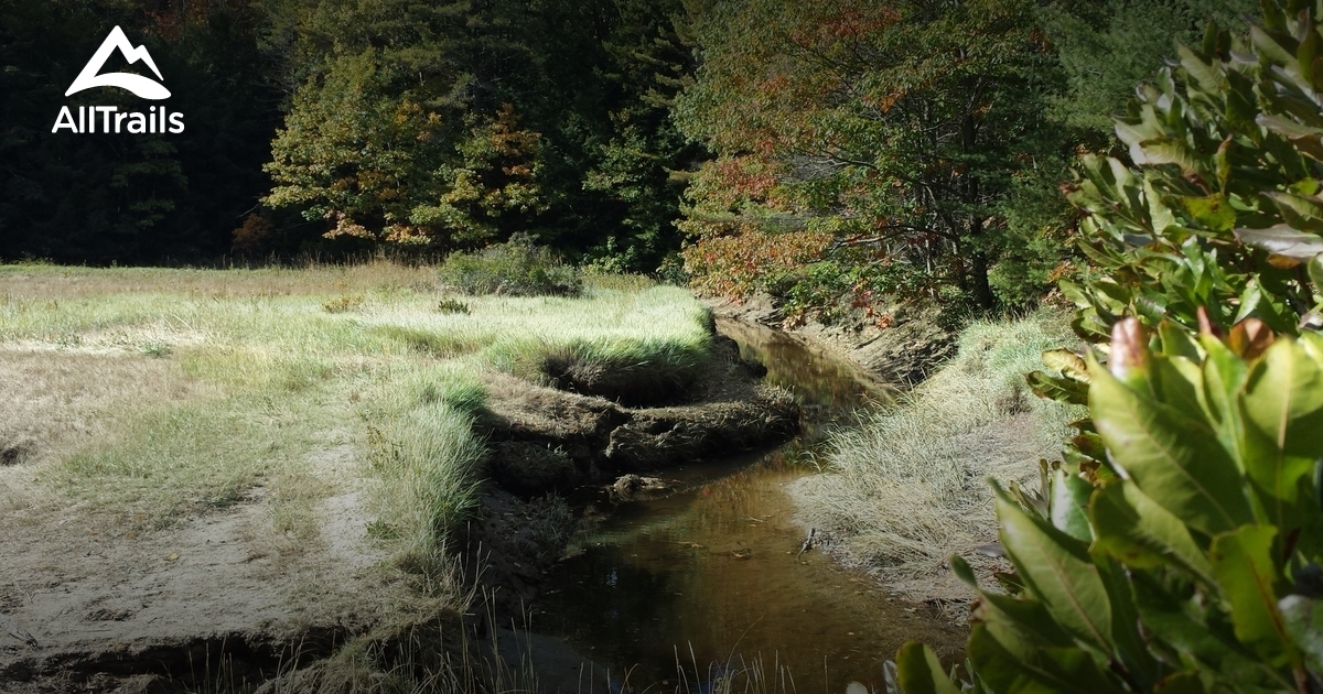 Best Trails in Falmouth Nature Preserve Maine AllTrails