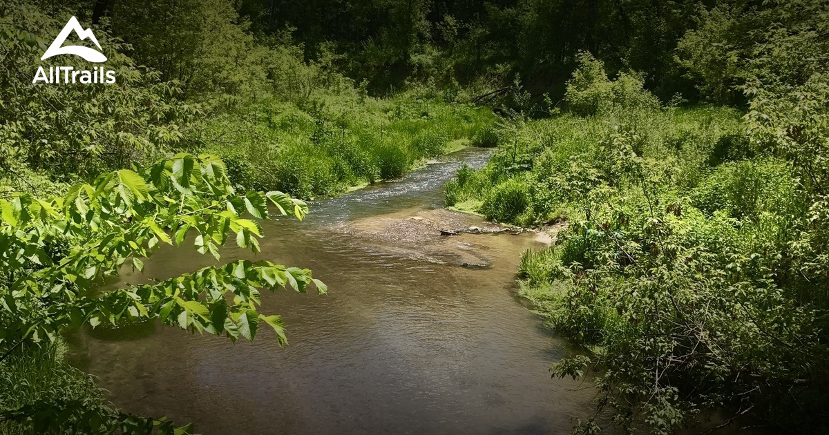 Best Trails in Hay Creek Forest Management Unit Minnesota AllTrails