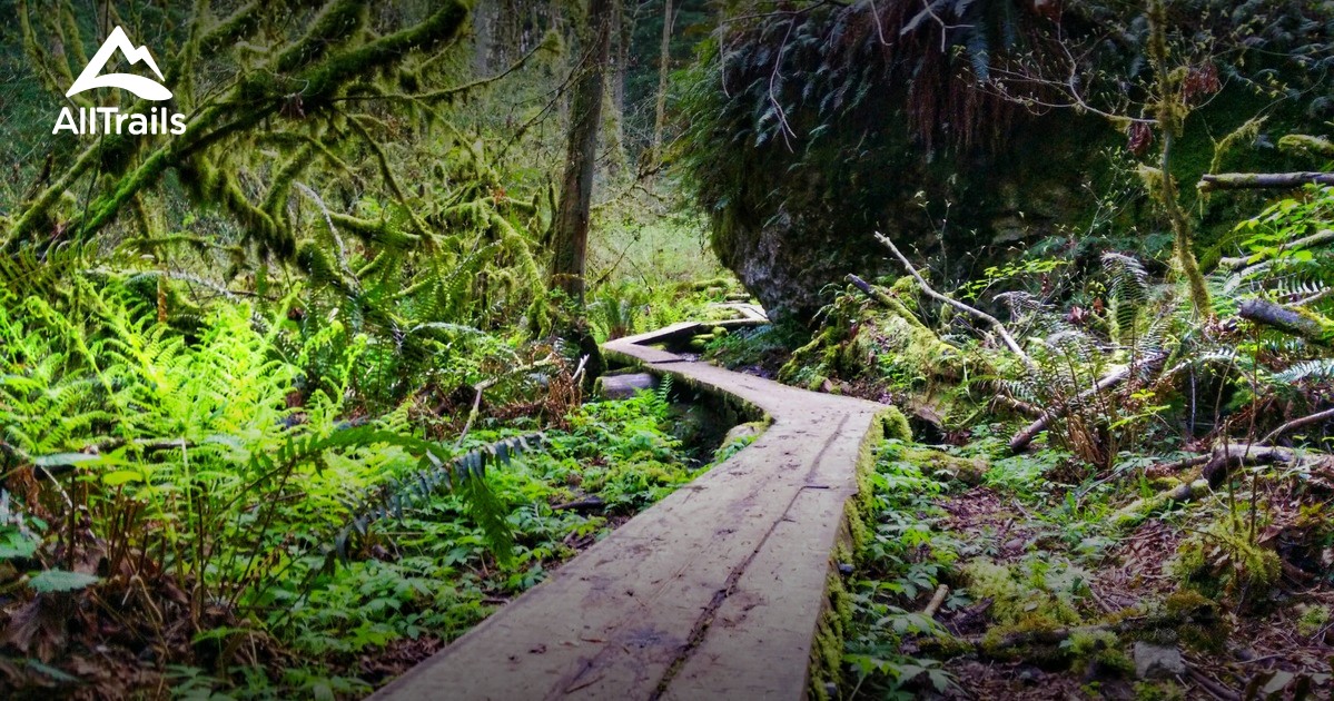 Best Trails in Cougar Mountain Regional Wildland Park - Washington ...