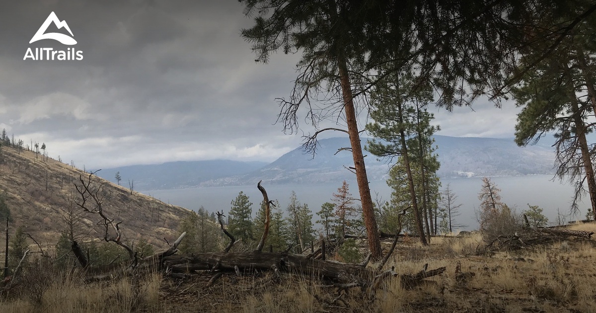 10 Best hikes and trails in Okanagan Mountain Provincial Park | AllTrails