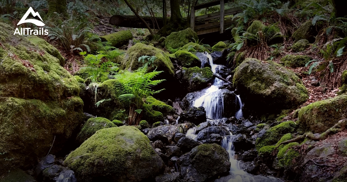 Best Trails in Mount Tamalpais Watershed - California | AllTrails