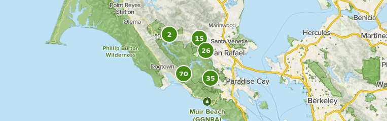 Best Trails in Mount Tamalpais Watershed