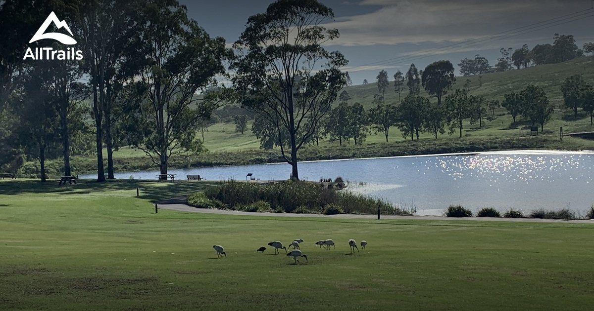 Best hikes and trails in Mount Annan Botanic Garden AllTrails