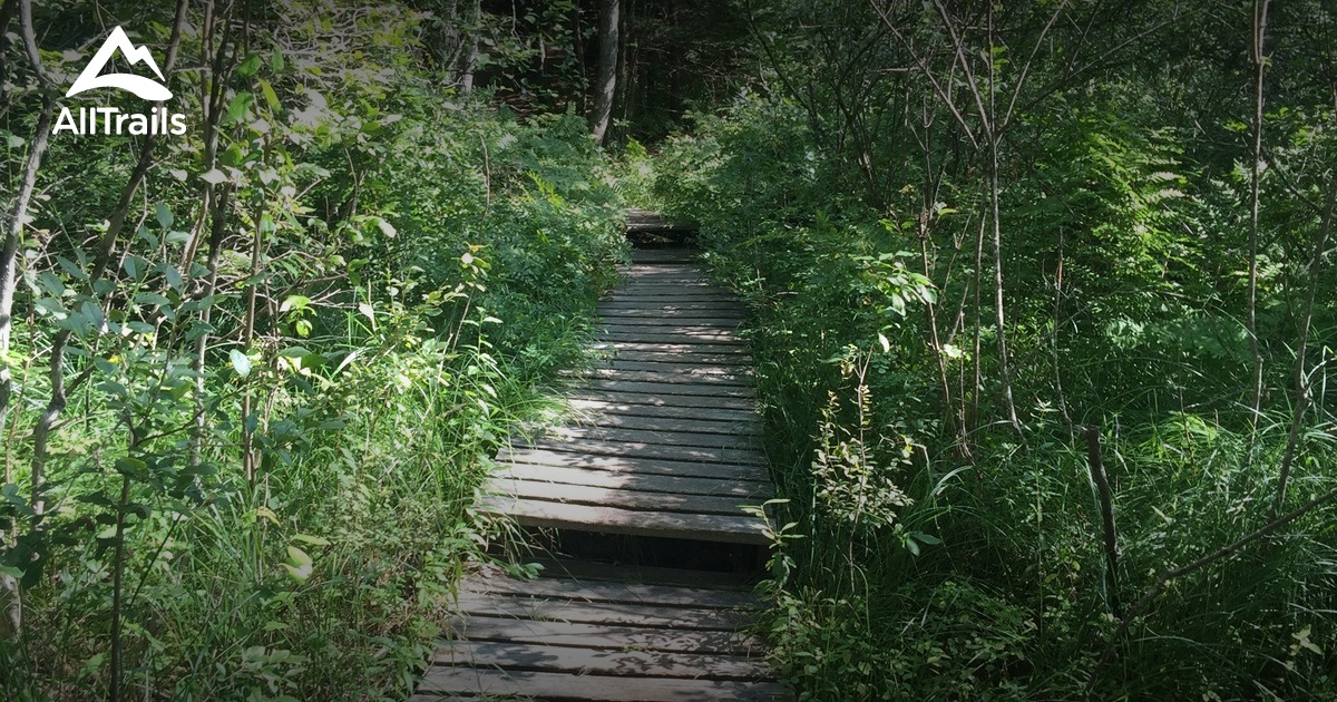 Best Trails in Pulpit Rock Conservation Area New Hampshire AllTrails