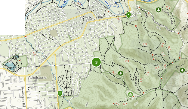 Best Trails in Black Hill Conservation Park South Australia