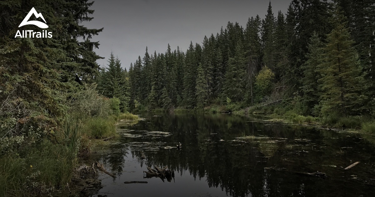 Best Trails in Magrath Heights Park Alberta, Canada AllTrails