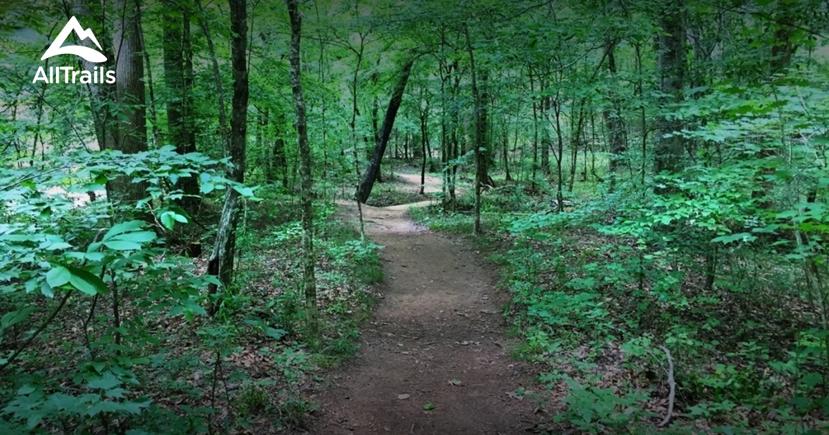 Best Trails in Johnston Mill Nature Preserve - North ...