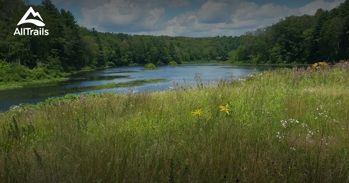 Best hikes and trails in Westville Recreation Area AllTrails