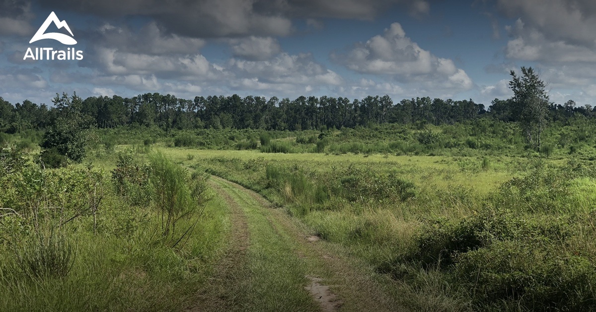 Balm Boyette Trail Map