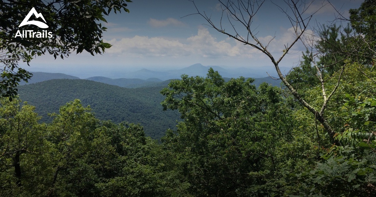 Best Trails in Swallow Creek Wildlife Management Area - Georgia | AllTrails