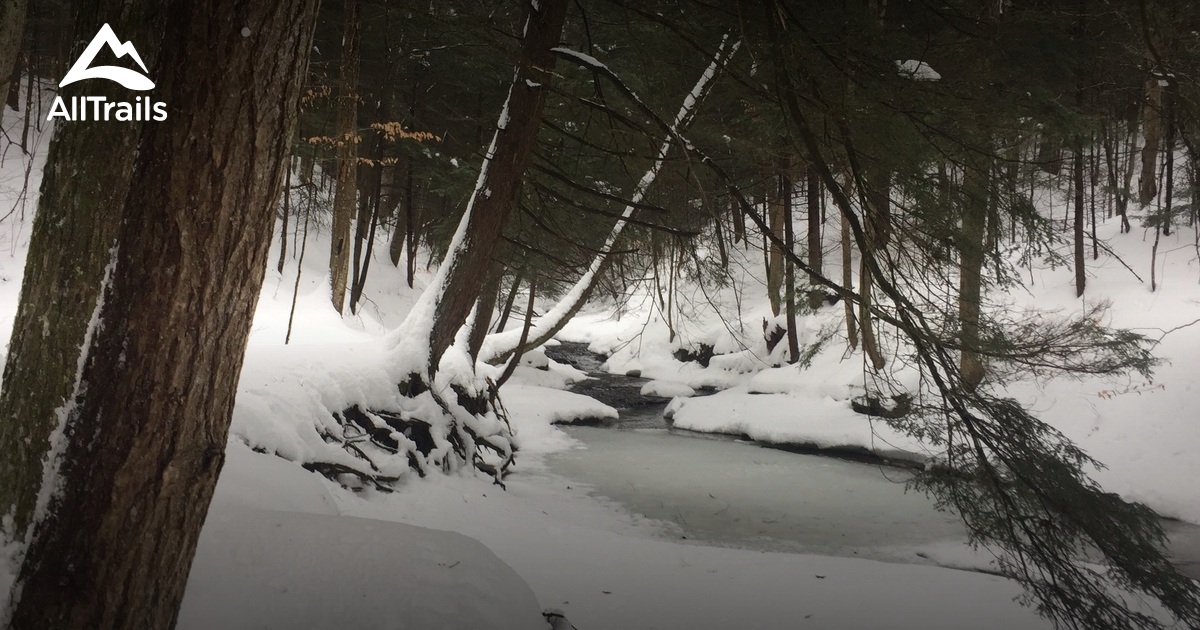 Best Hikes and Trails in Hoxie State Forest AllTrails