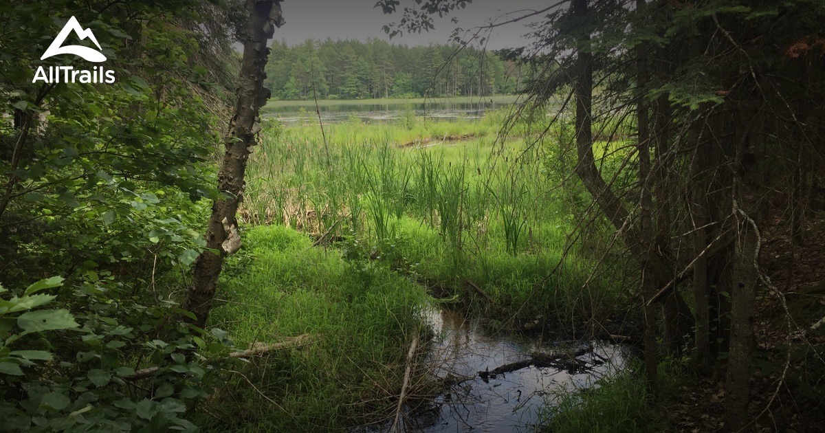 Best Trails in Pigeon River Country State Forest - Michigan | AllTrails