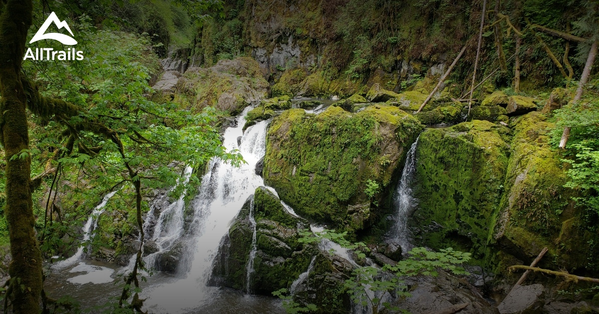 Best hikes and trails in Charles Lathrop Pack Experimental Forest ...