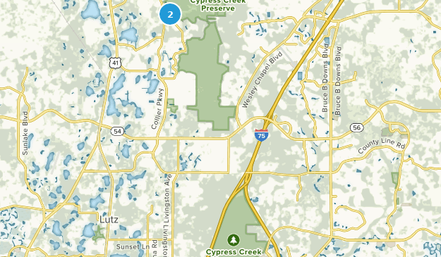 Best Trails in Cypress Creek Preserve - Parks Us Florida Cypress Creek Preserve 10162920 20190607152454 625x365 1
