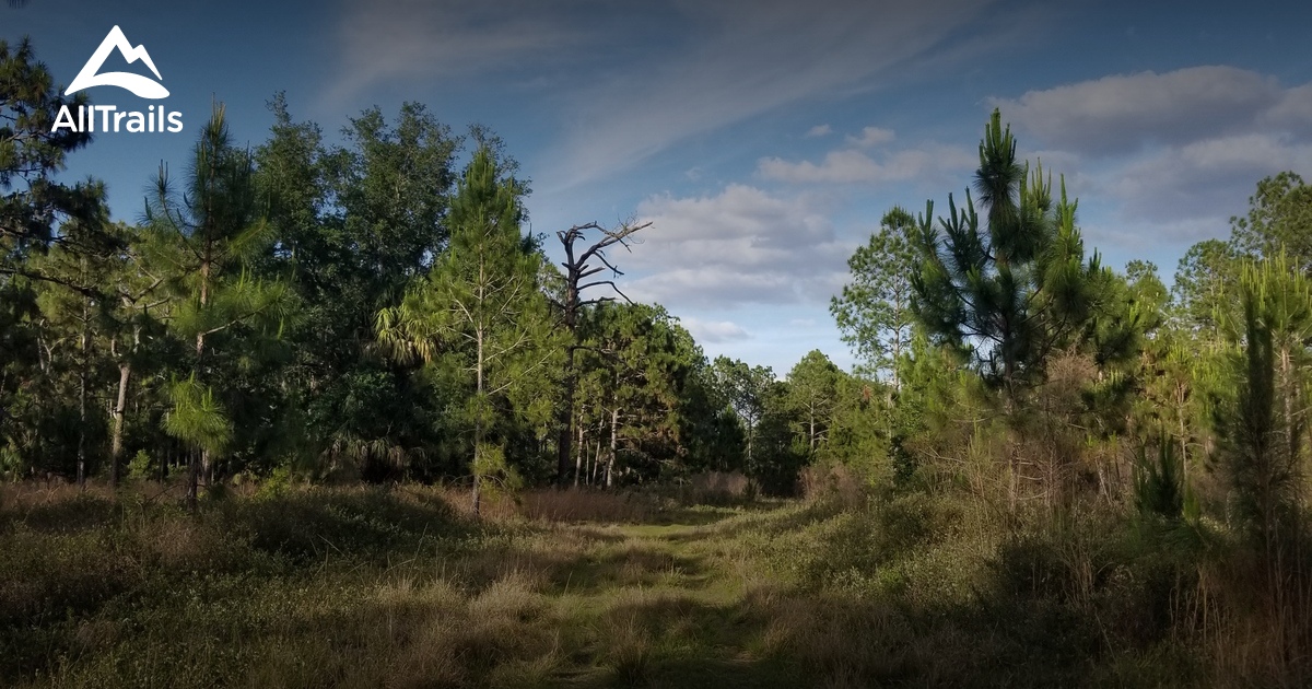 Best forest trails in Cypress Creek Preserve | AllTrails