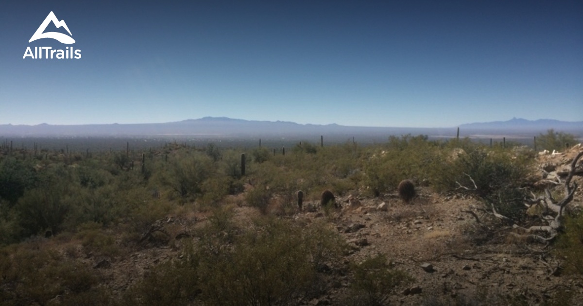 Best hikes and trails in Arizona Sonora Desert Museum | AllTrails