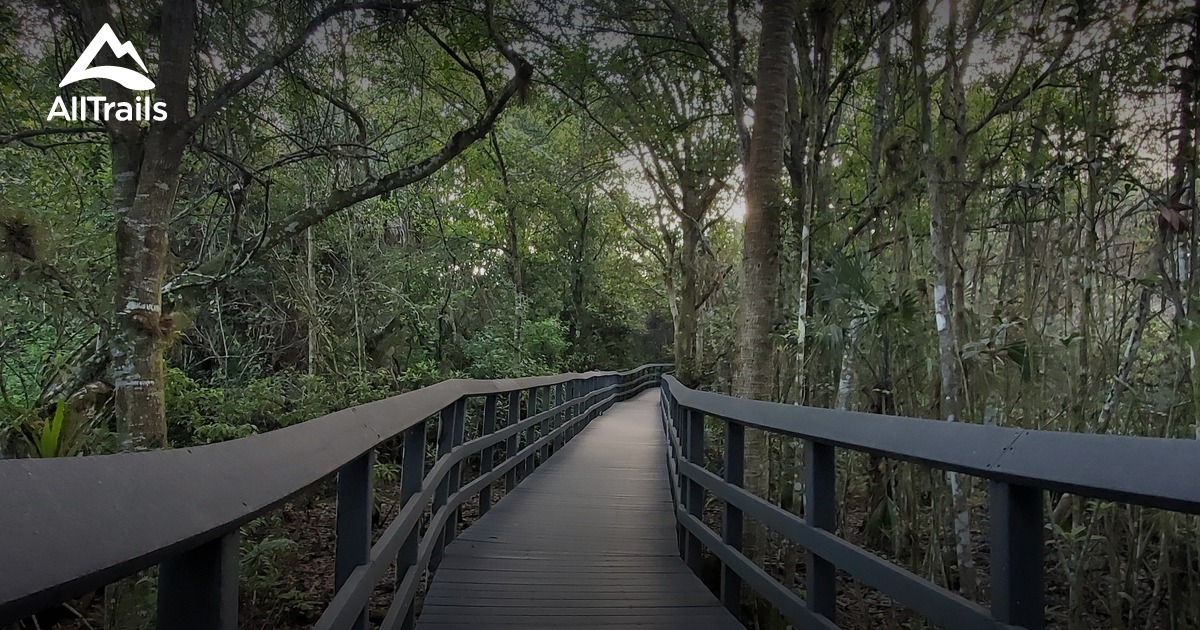 Best trails in Fern Forest Park, Florida | AllTrails