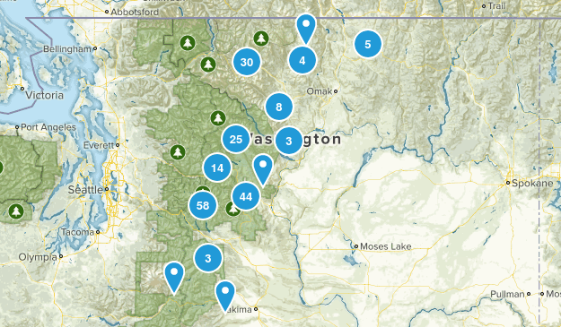 Best Trails in Okanogan-Wenatchee National Forest - Washington  AllTrails