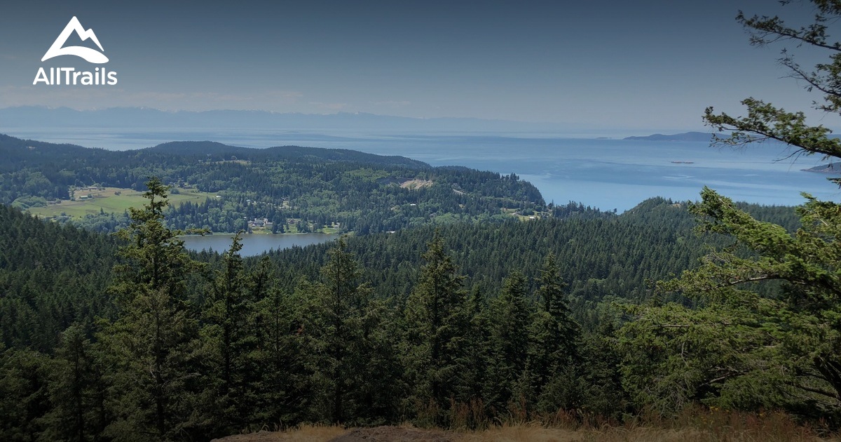 Best Trails in Anacortes Community Forest Lands Washington AllTrails