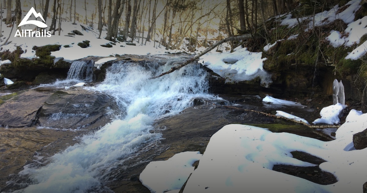 Best Trails in Big Indian Wilderness - New York | AllTrails