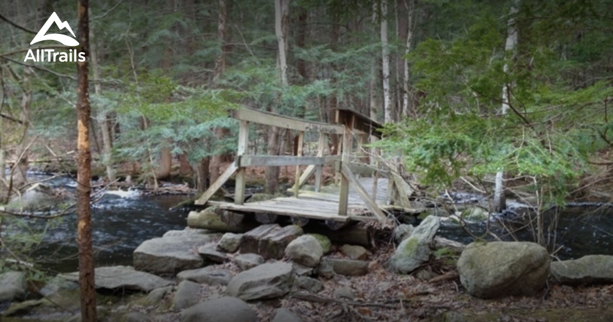 Best Trails in Trout Brook Conservation Area Massachusetts AllTrails