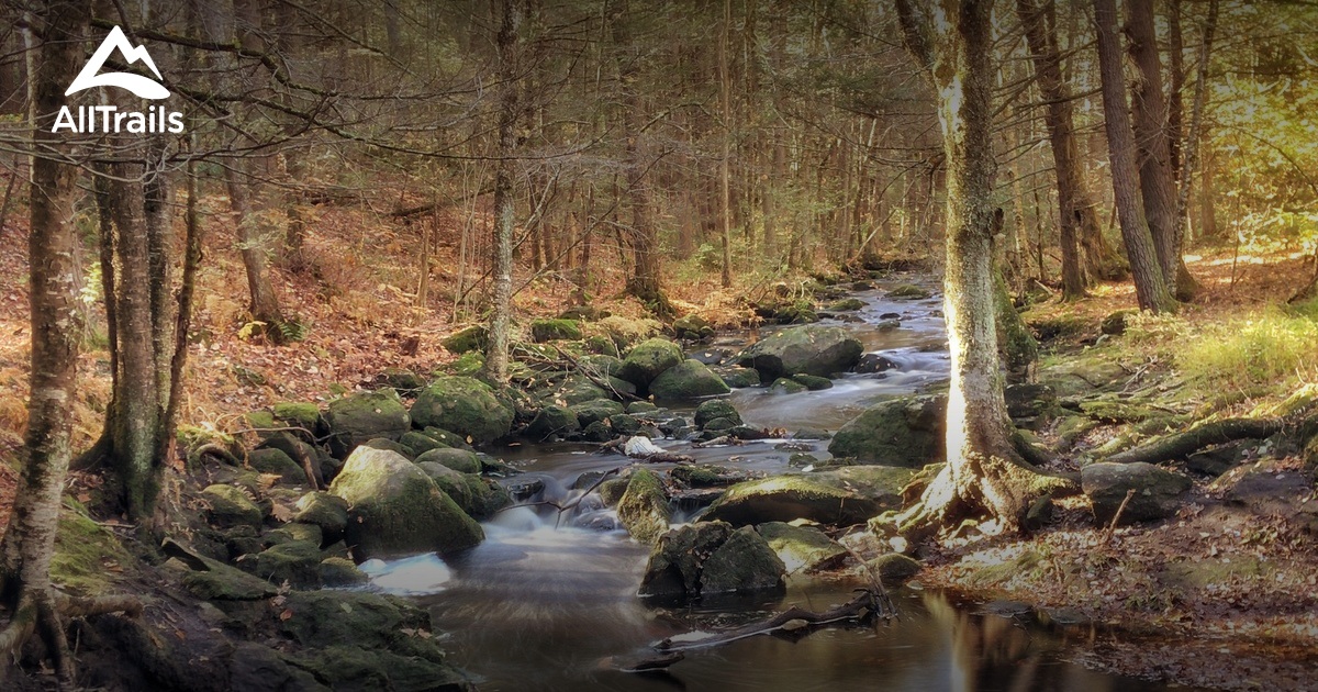 Best hikes and trails in Trout Brook Conservation Area AllTrails