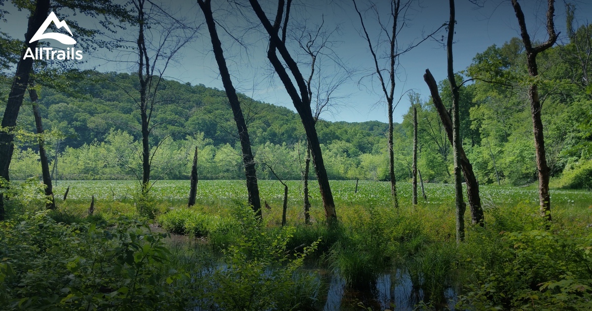 Best rails trails in Zaleski State - Parks Us Ohio Zaleski State Forest 10163294 20210516080606000000000 1200x630 3 41621197382 