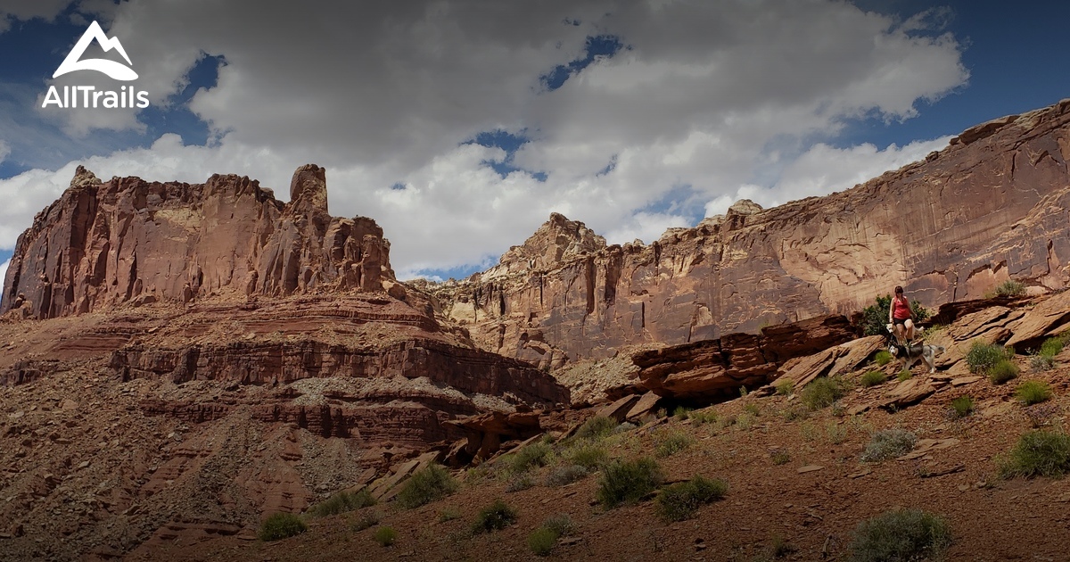 Best hikes and trails in Mexican Mountain Wilderness | AllTrails