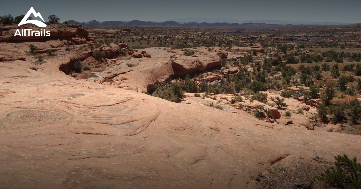 Best 10 Trails in Fish Creek Canyon Wilderness Study Area | AllTrails