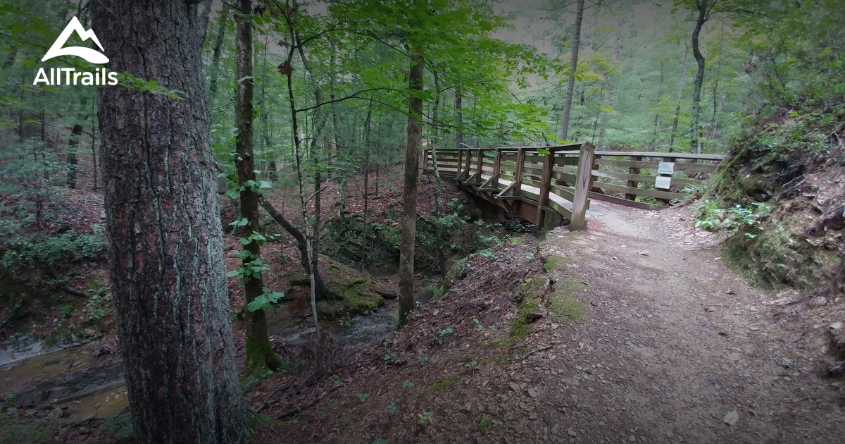 Best Trails In Carvins Cove Natural Reserve Virginia Alltrails 0707