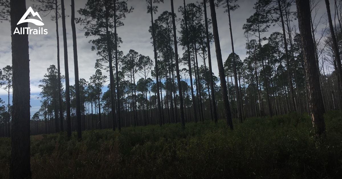 Best Trails In Lower Suwannee National Wildlife Refuge - Florida 