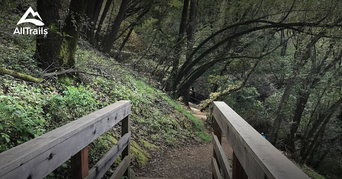 Best Trails in Villa Montalvo County Park - California | AllTrails