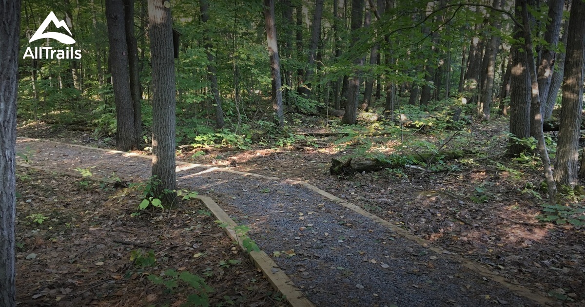 Best Trails in Tug Hill State Forest - New York | AllTrails