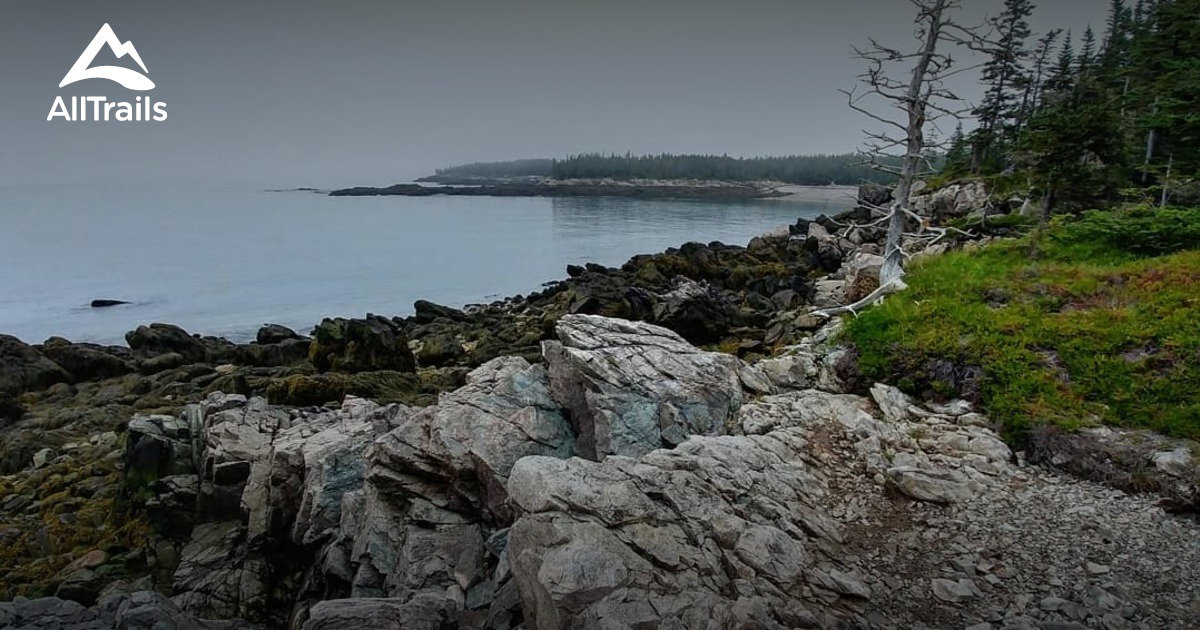 Best Trails in New River Beach Provincial Park New Brunswick, Canada