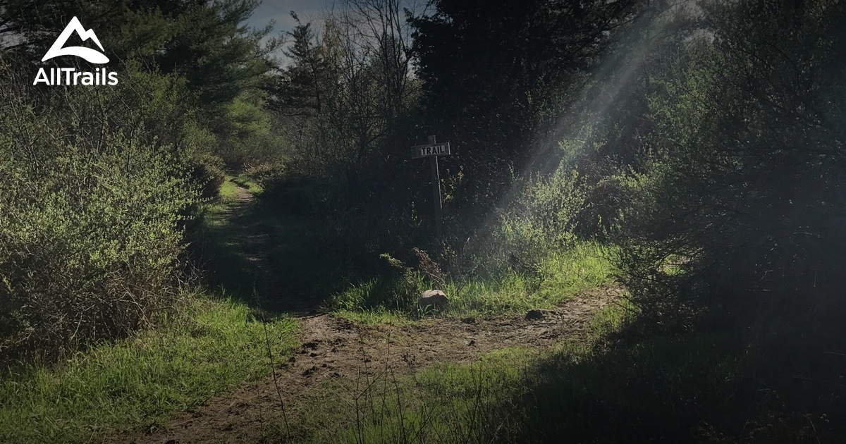 Best hikes and trails in Chaumont Barrens Preserve AllTrails